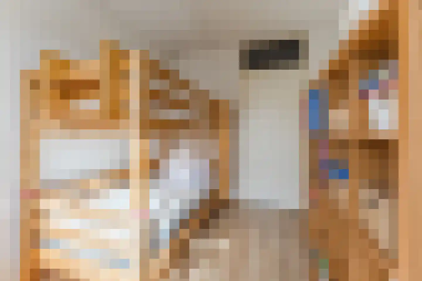 Beppie Nooijstraat 18 Pijnacker thumbnail 19