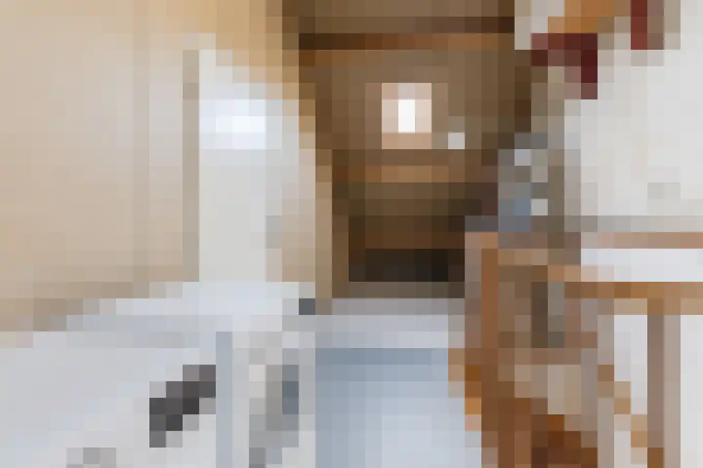 Beppie Nooijstraat 18 Pijnacker thumbnail 26