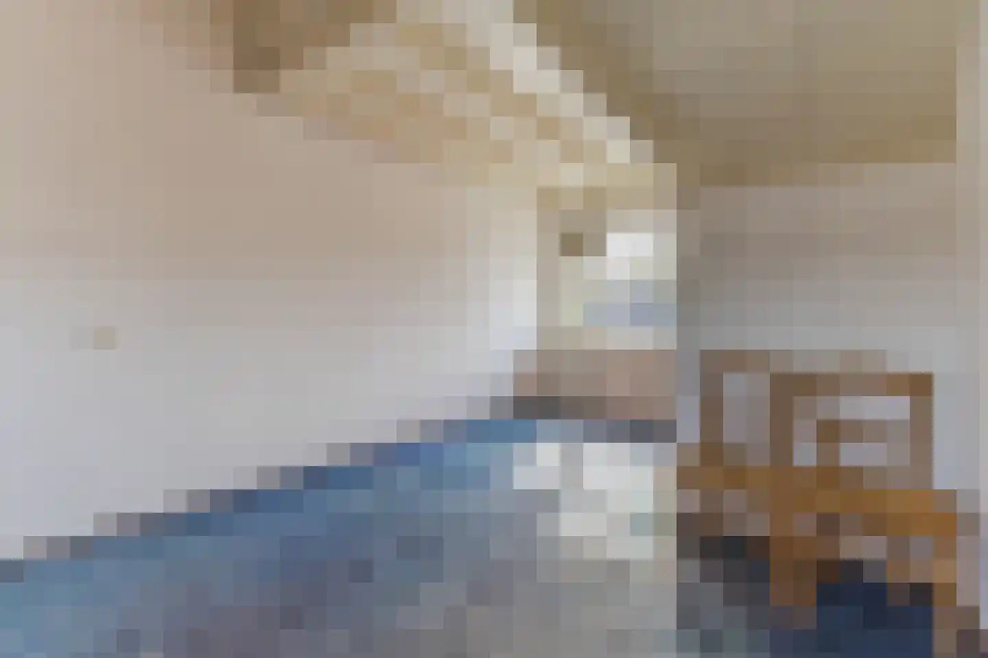 Beppie Nooijstraat 18 Pijnacker thumbnail 27