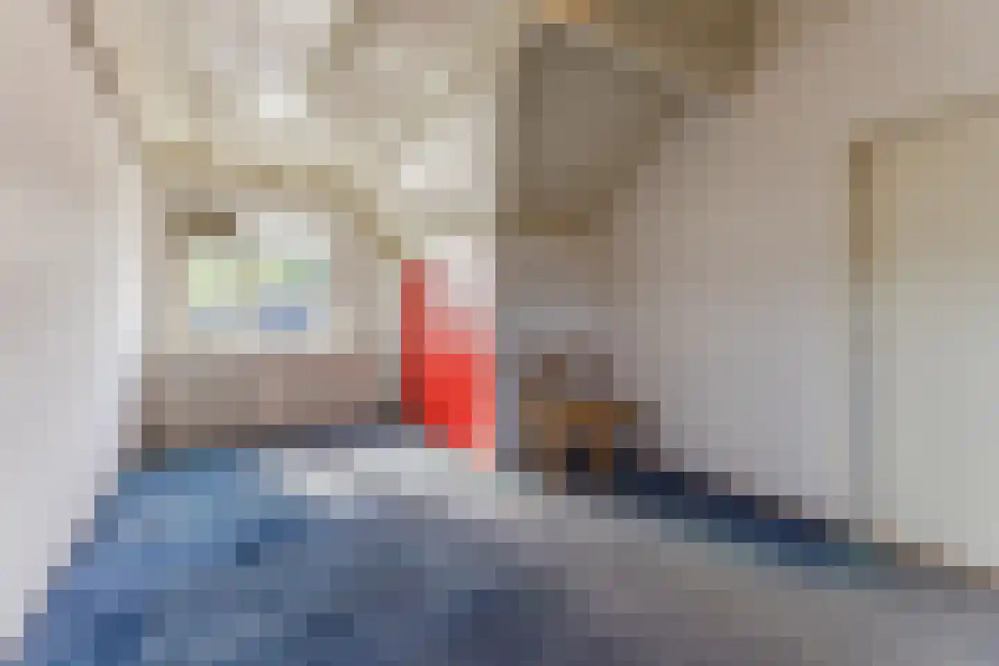 Beppie Nooijstraat 18 Pijnacker thumbnail 29
