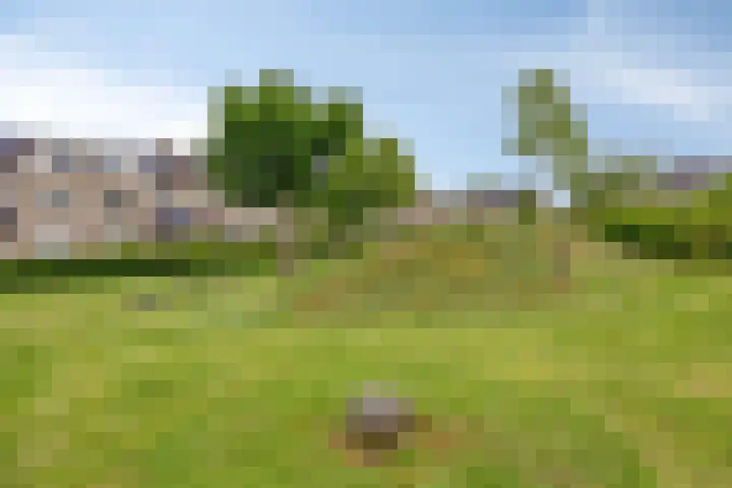 Beppie Nooijstraat 19 Pijnacker thumbnail 31
