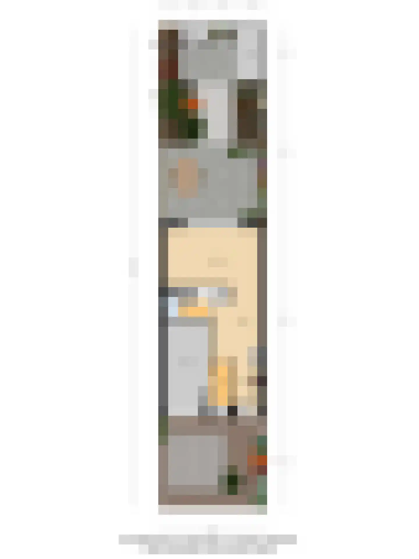 Beppie Nooijstraat 19 Pijnacker thumbnail 34