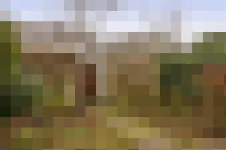 Beppie Nooijstraat 24 Pijnacker thumbnail 18