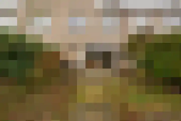 Beppie Nooijstraat 24 Pijnacker thumbnail 20