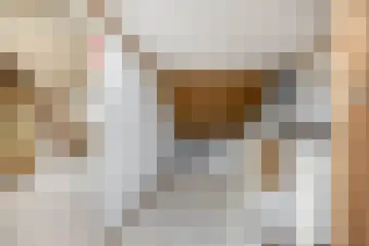 Beppie Nooijstraat 24 Pijnacker thumbnail 29