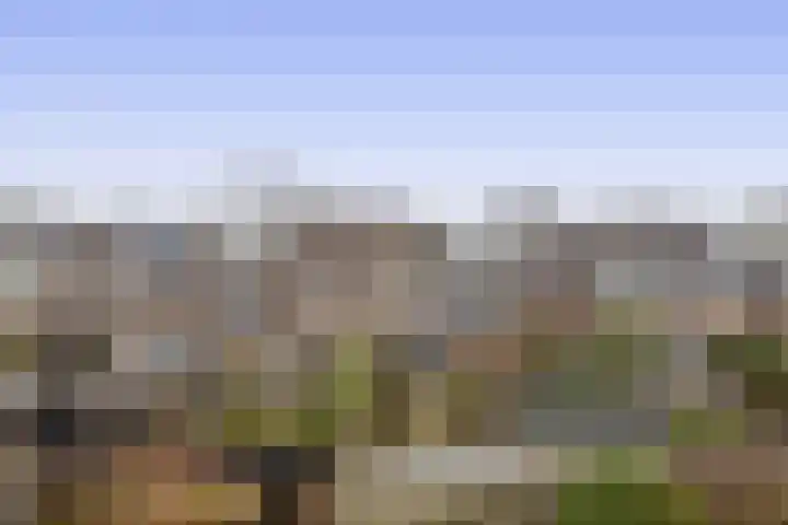 Beppie Nooijstraat 24 Pijnacker thumbnail 33