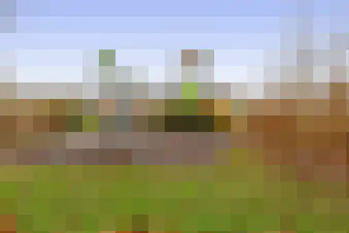 Beppie Nooijstraat 24 Pijnacker thumbnail 38