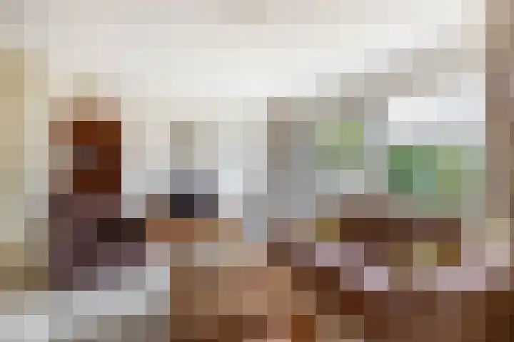 Beppie Nooijstraat 24 Pijnacker thumbnail 4