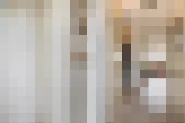 Beppie Nooijstraat 24 Pijnacker thumbnail 8