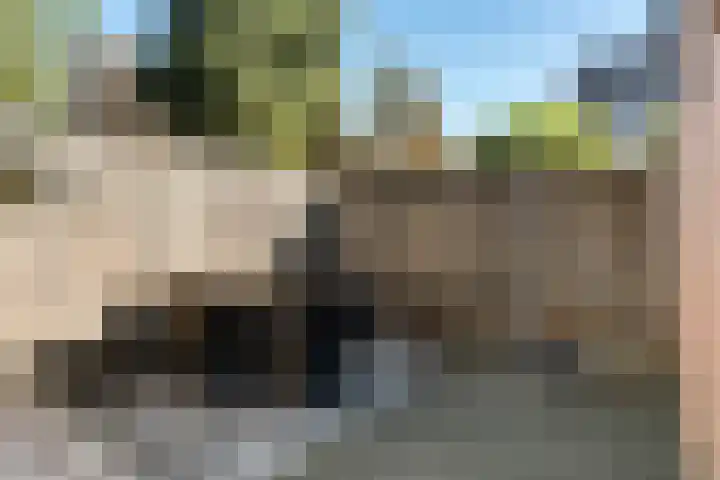 Beppie Nooystraat 26 Hengelo thumbnail 33