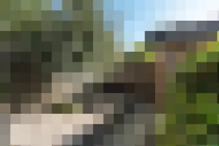Beppie Nooystraat 26 Hengelo thumbnail 36