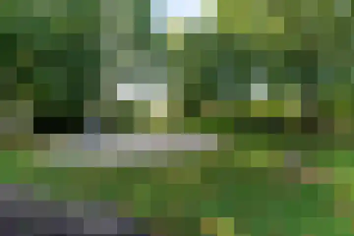 Beppie Nooystraat 26 Hengelo thumbnail 42