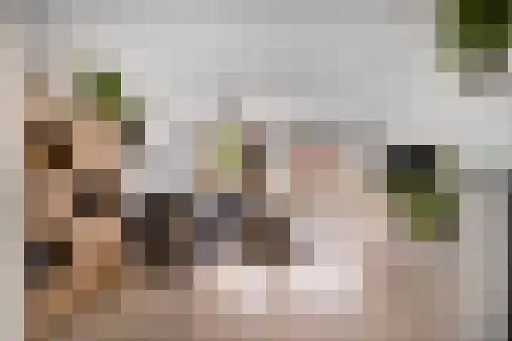 Beppy Nooijstraat 40 Leiden thumbnail 4