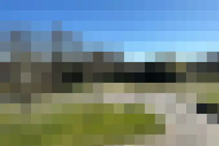 Berberis 2 Coevorden thumbnail 11