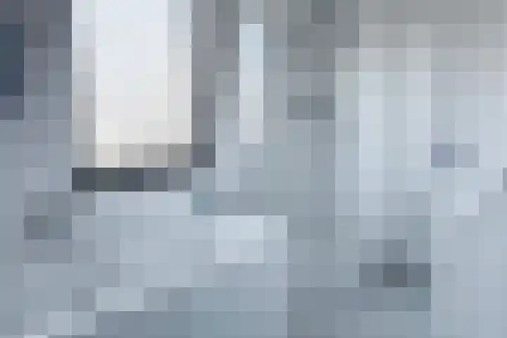 Berberis 2 Coevorden thumbnail 23