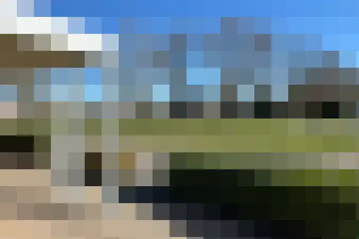 Berberis 2 Coevorden thumbnail 5