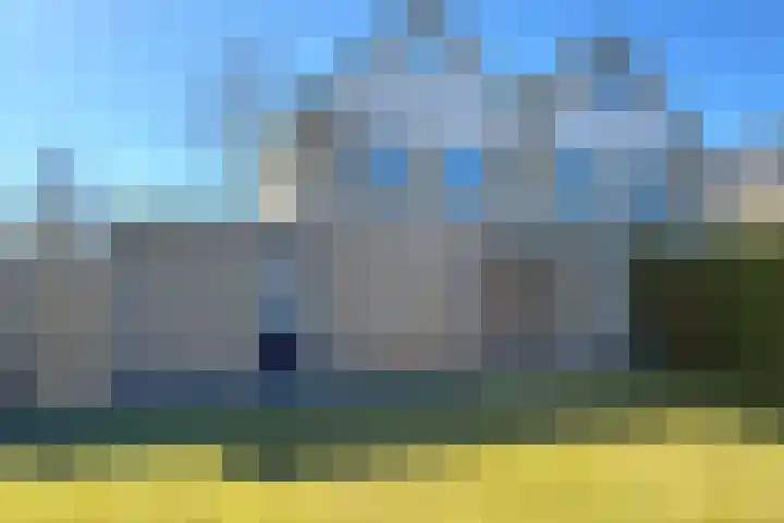 Berberis 2 Coevorden thumbnail 6