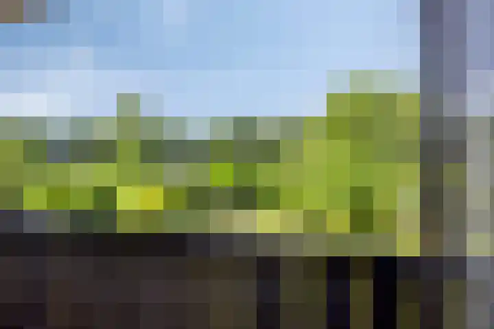 Berberislaan 12 Winterswijk thumbnail 30