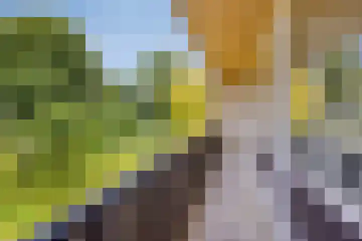 Berberislaan 12 Winterswijk thumbnail 32