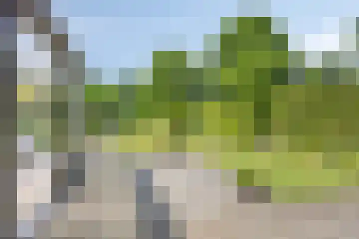 Berberislaan 12 Winterswijk thumbnail 39