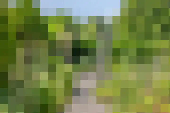 Berberislaan 12 Winterswijk thumbnail 42