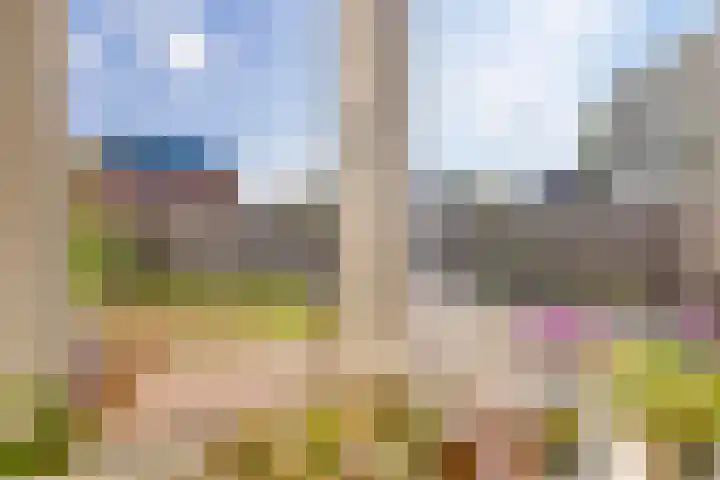 Berberislaan 133 Winterswijk thumbnail 7