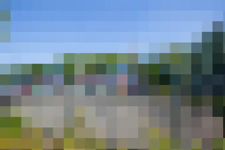Berberislaan 209 Winterswijk thumbnail 29
