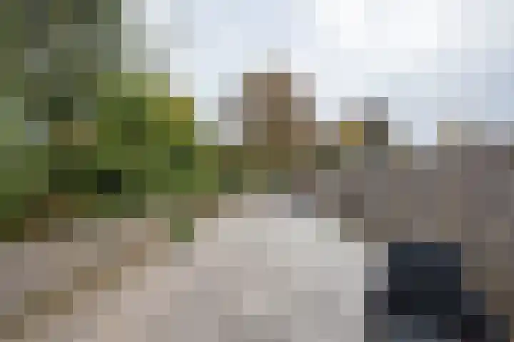 Berberislaan 25 Winterswijk thumbnail 7