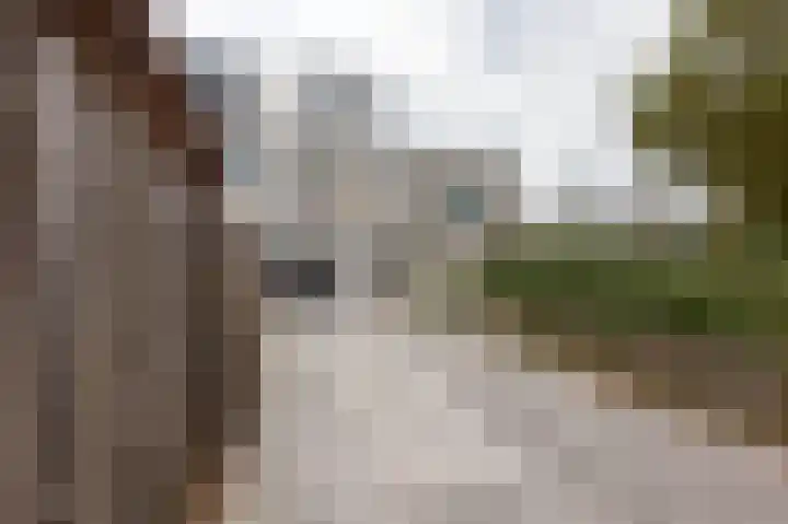 Berberislaan 25 Winterswijk thumbnail 8