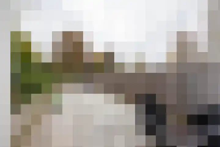 Berberislaan 25 Winterswijk thumbnail 9