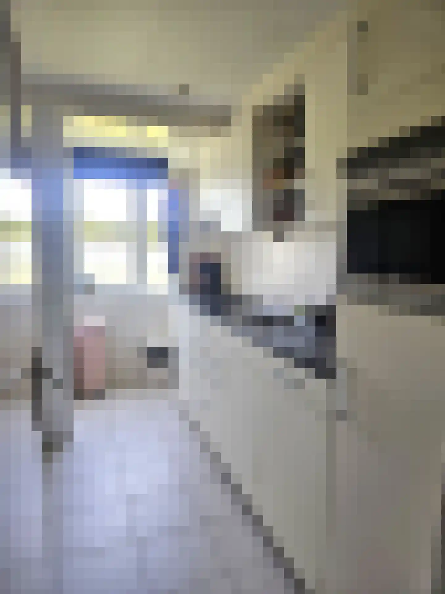 Berberisstraat 11 Hoogeveen thumbnail 12