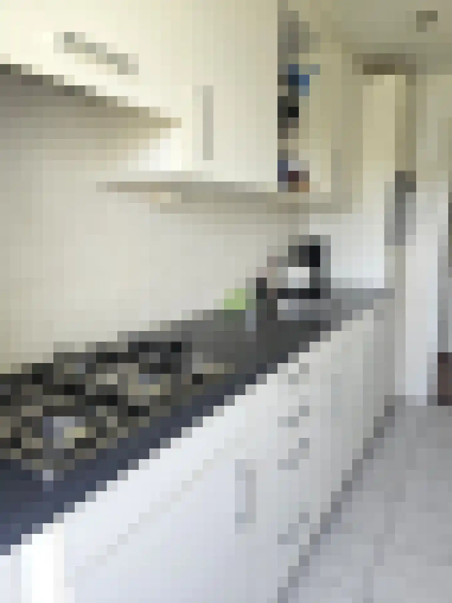 Berberisstraat 11 Hoogeveen thumbnail 13