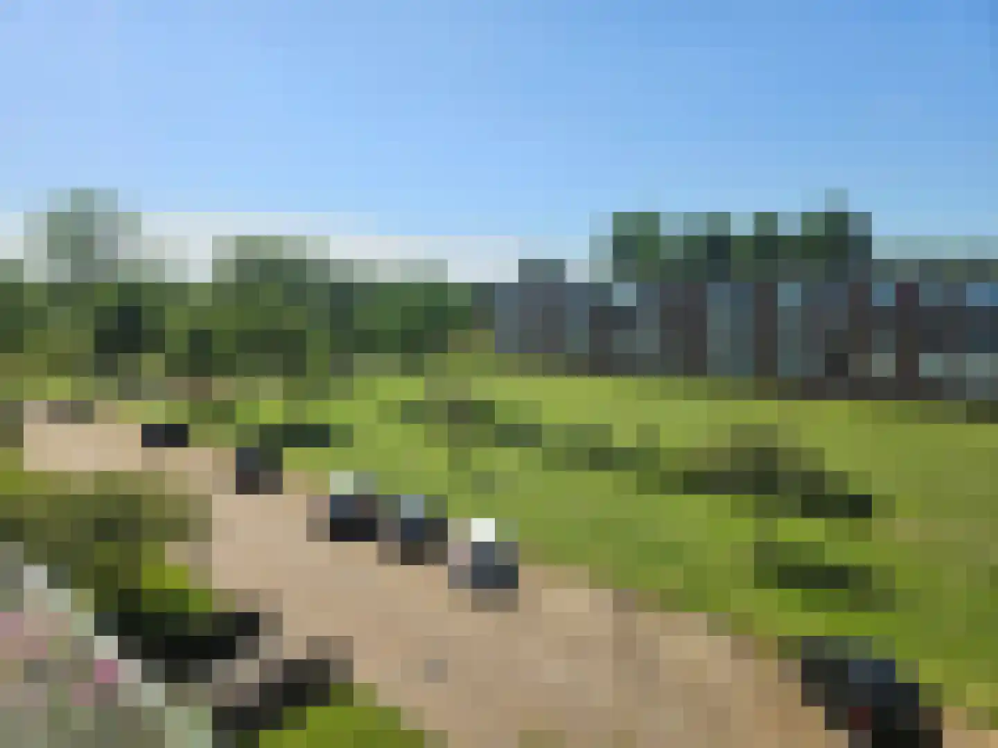Berberisstraat 11 Hoogeveen thumbnail 20