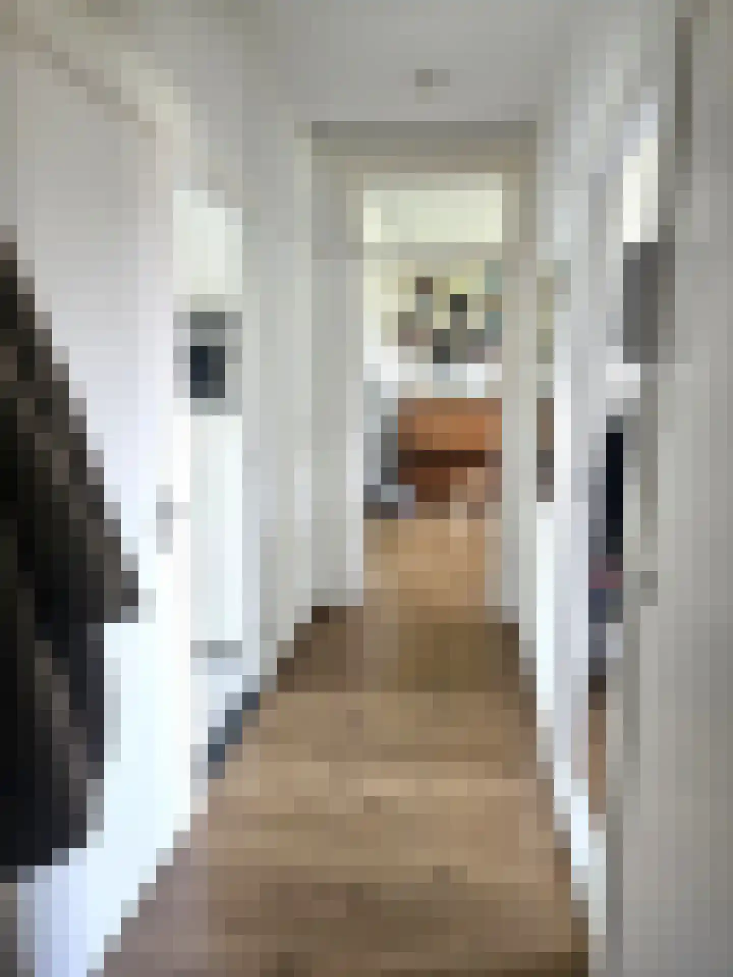 Berberisstraat 11 Hoogeveen thumbnail 6