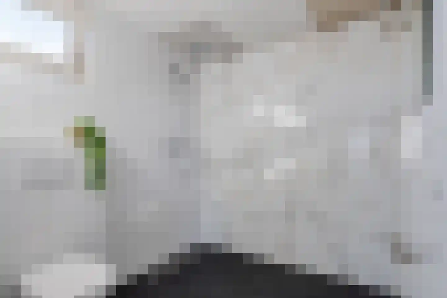 Berberisstraat 12 Wezep thumbnail 23