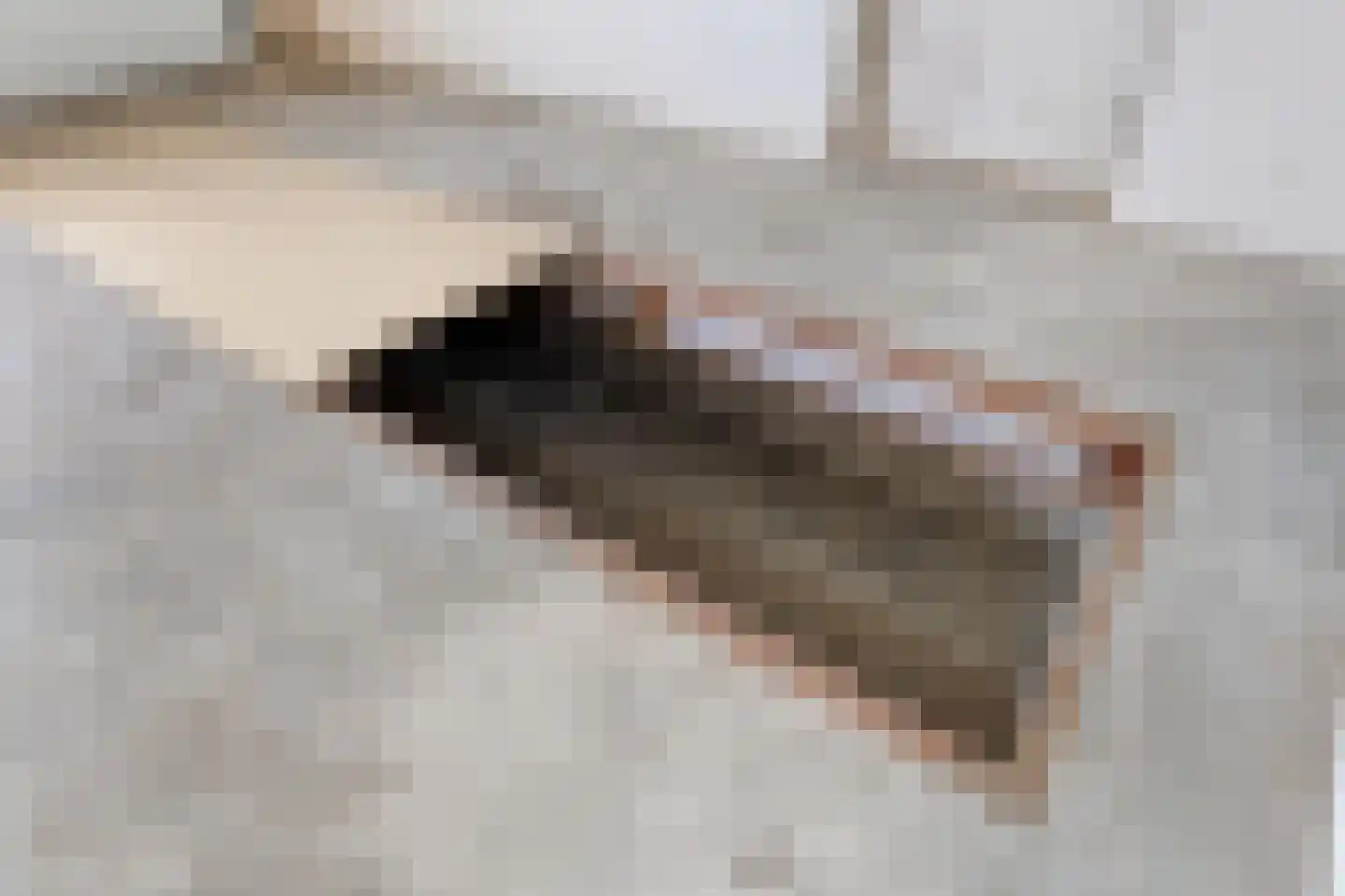 Berberisstraat 12 Wezep thumbnail 34
