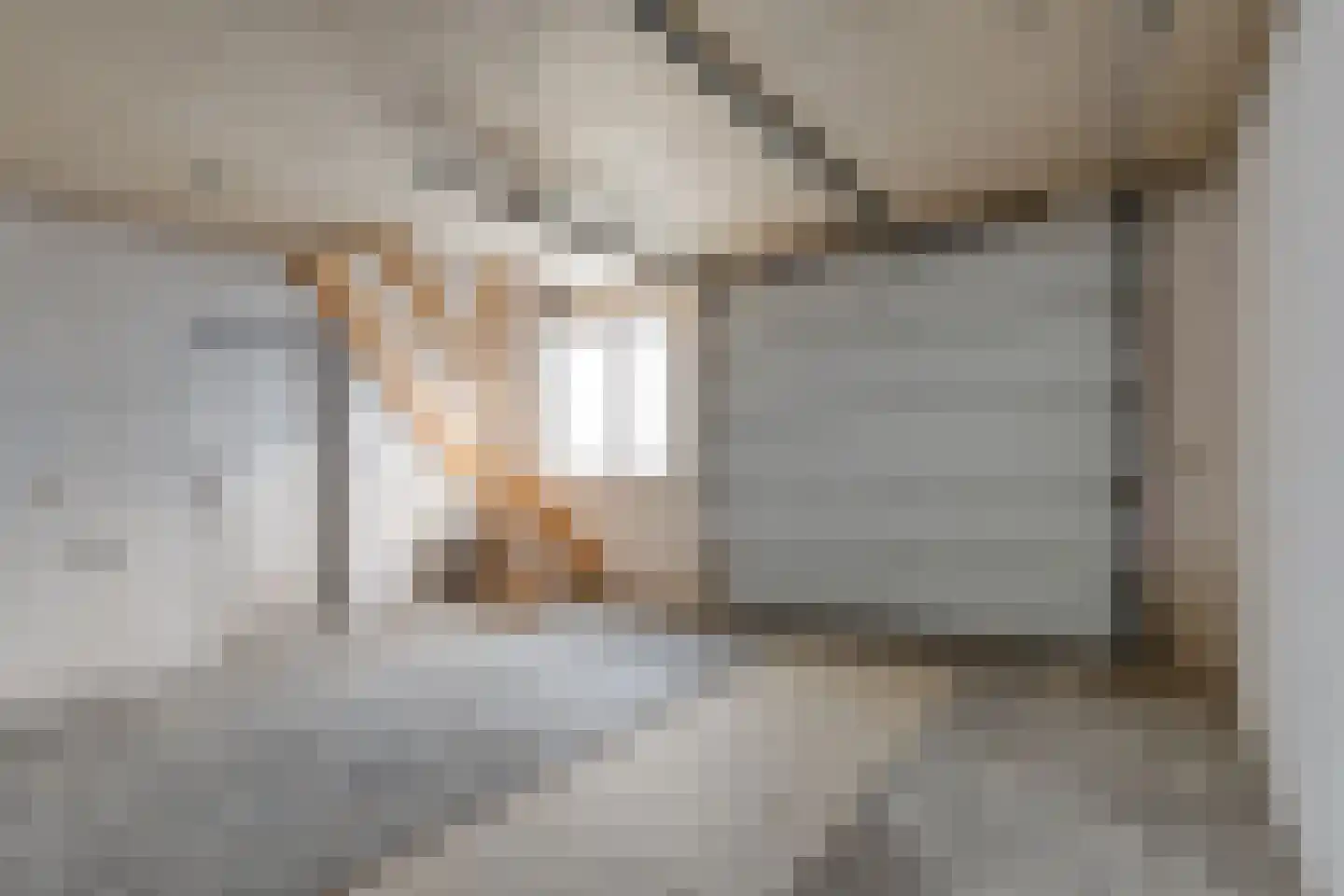 Berberisstraat 12 Wezep thumbnail 36