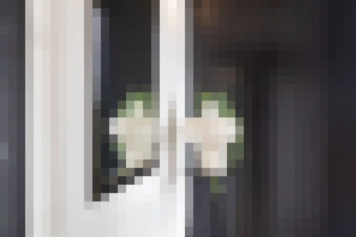 Berberisstraat 12 Wezep thumbnail 5