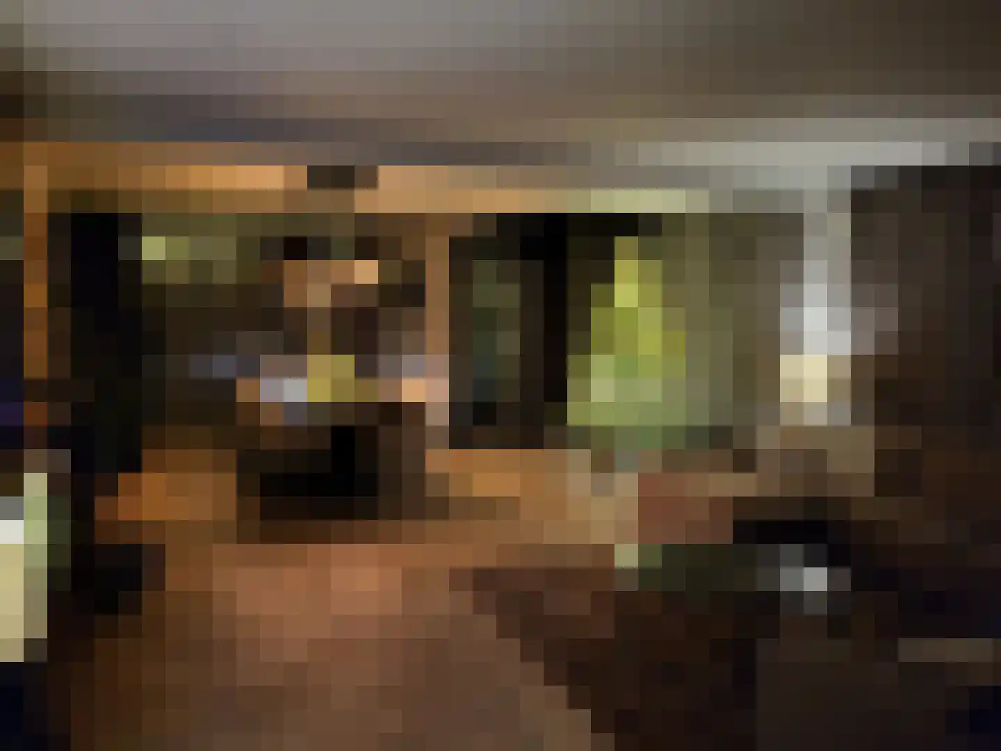 Berberisstraat 12 Wezep thumbnail 51