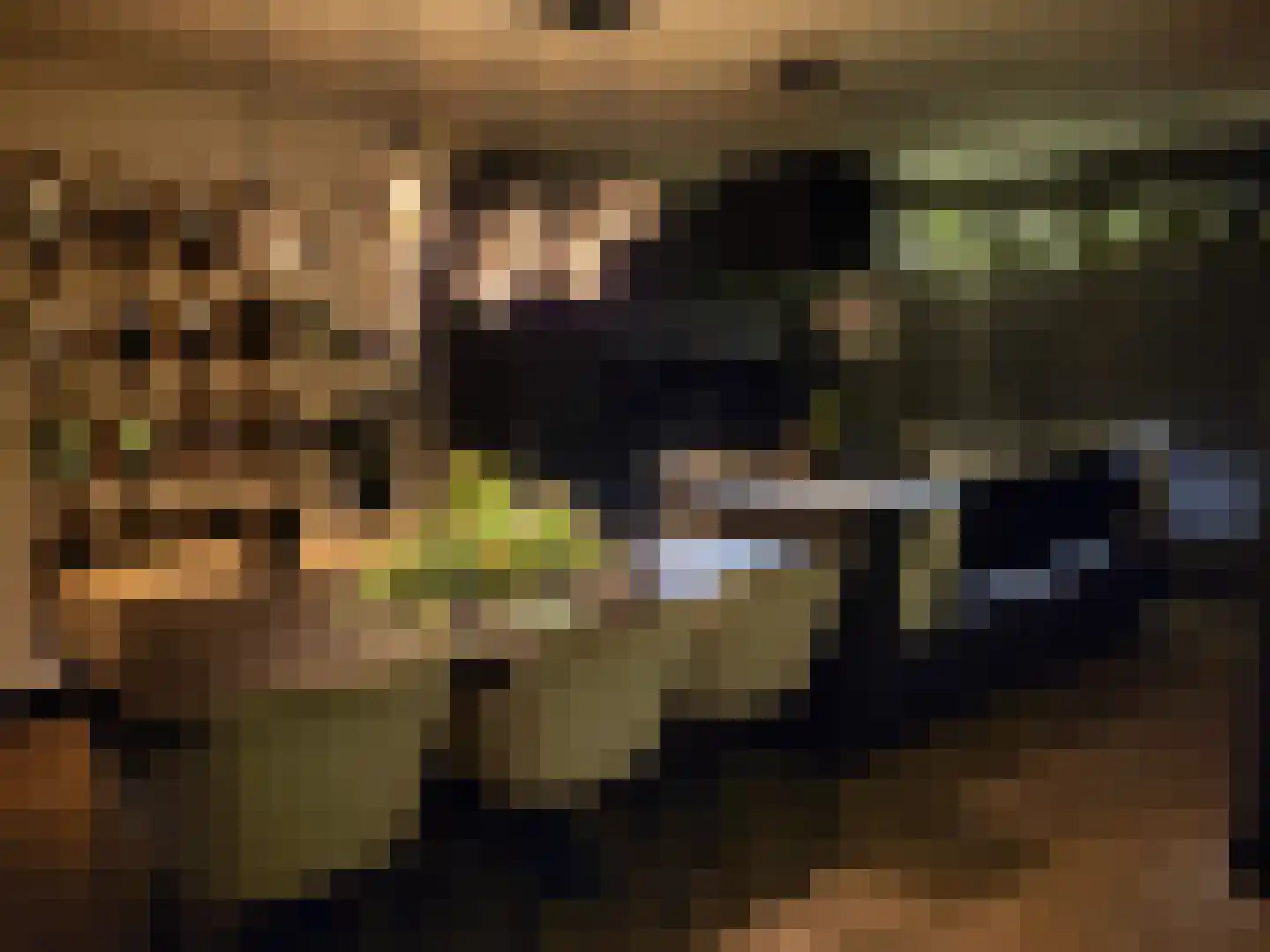 Berberisstraat 12 Wezep thumbnail 52