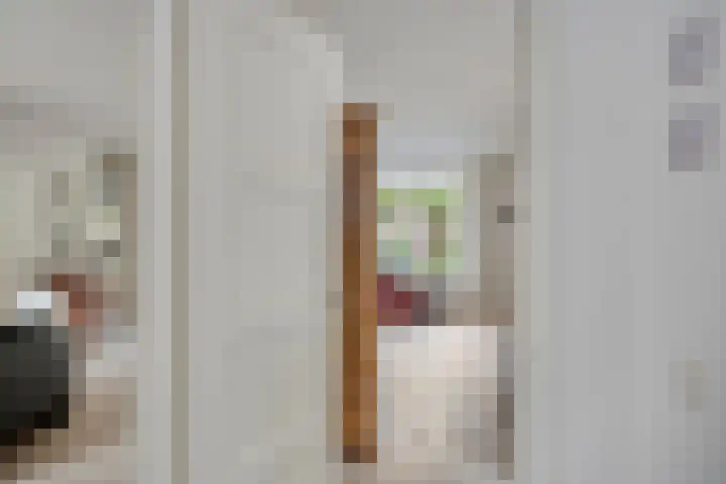 Berberisstraat 2 Nederweert thumbnail 11