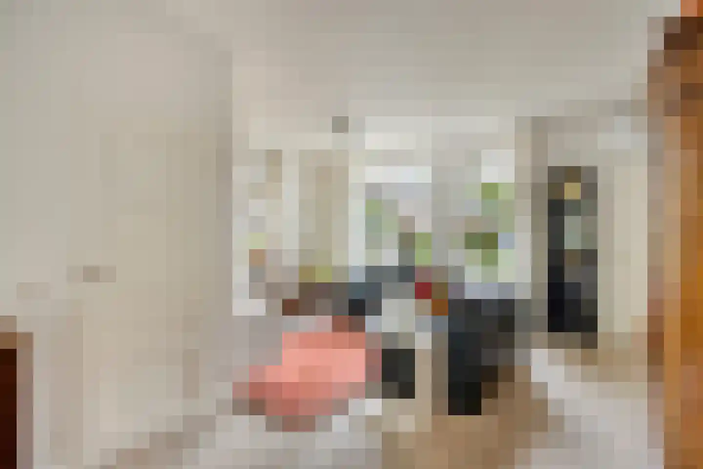 Berberisstraat 2 Nederweert thumbnail 16