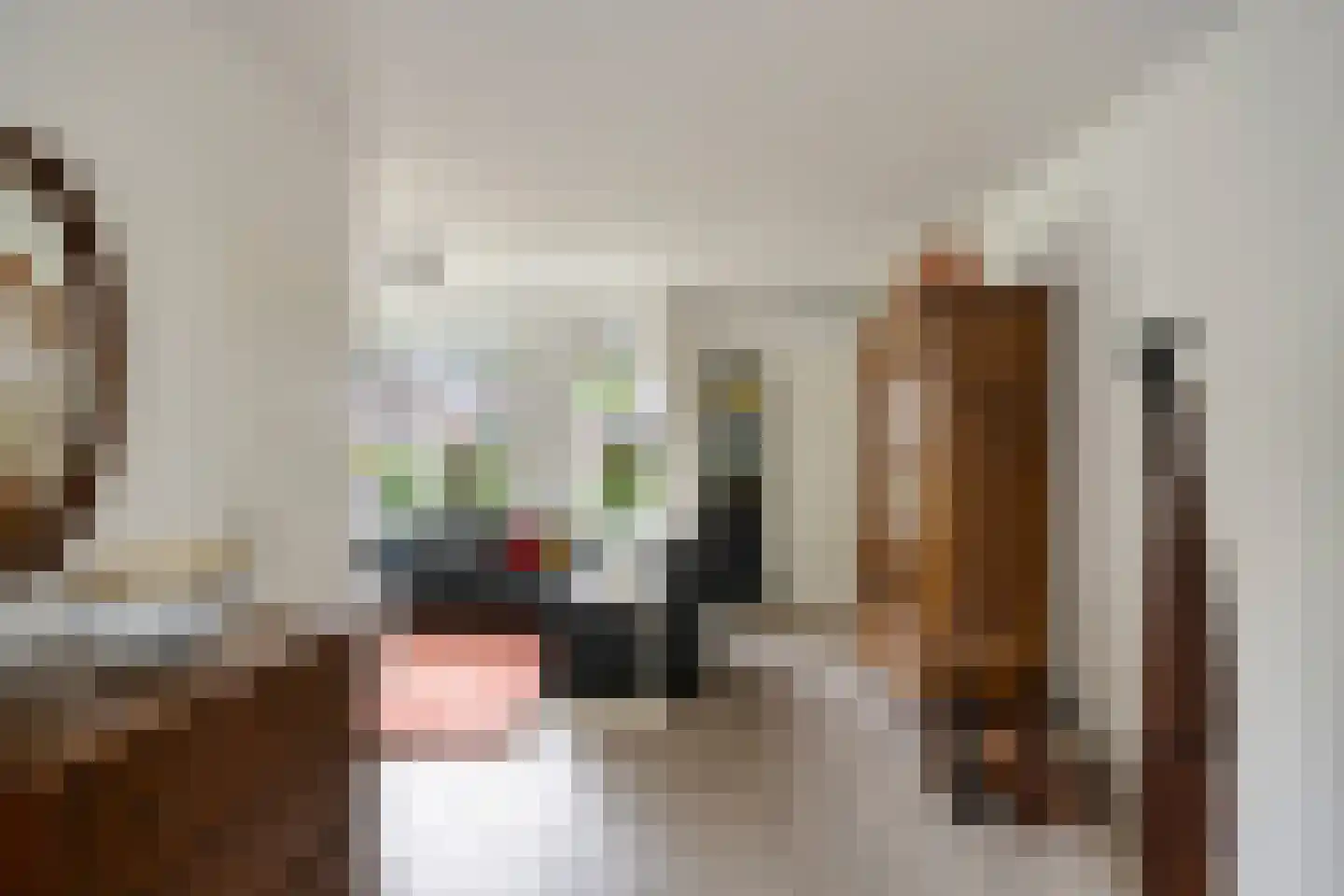 Berberisstraat 2 Nederweert thumbnail 17