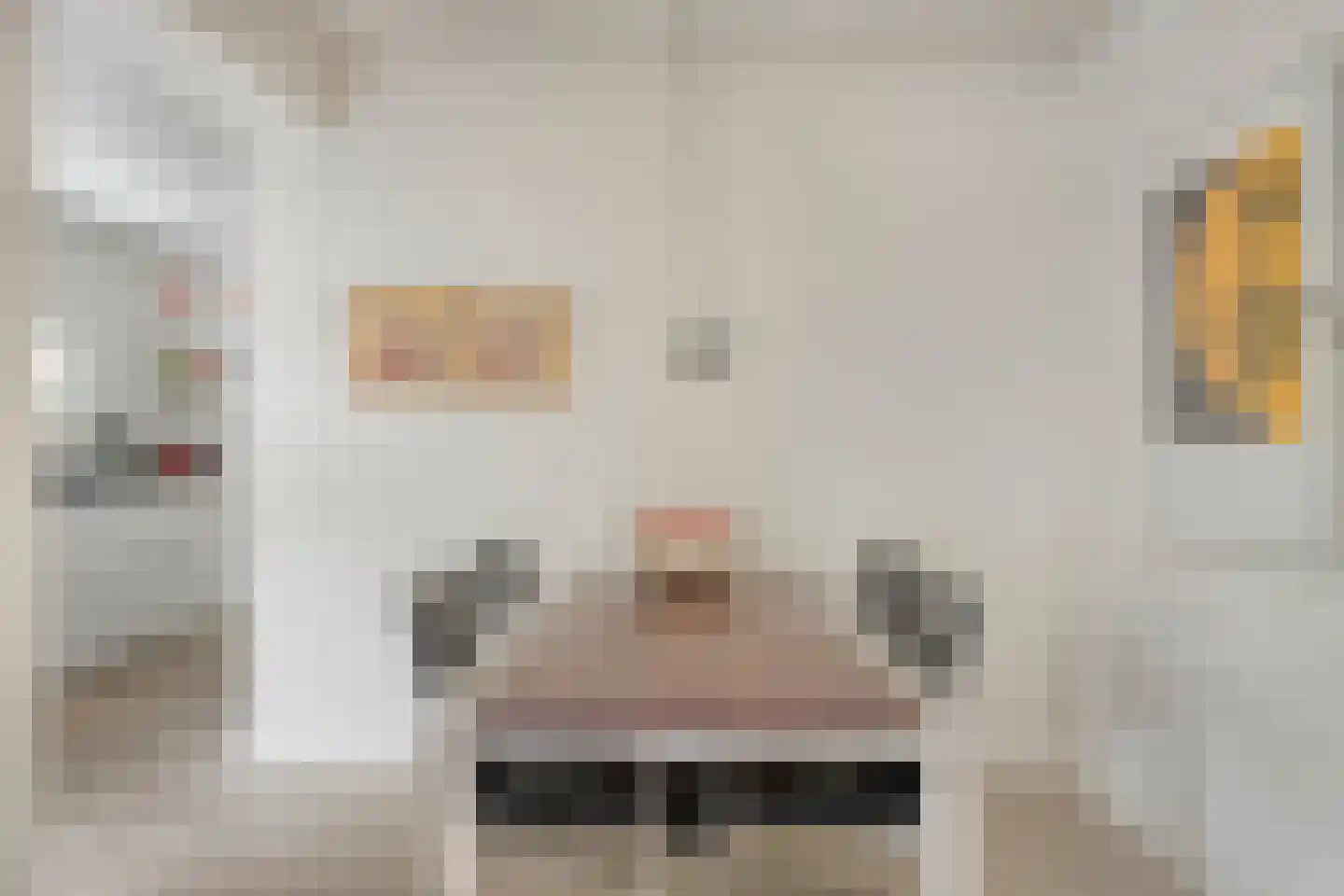 Berberisstraat 2 Nederweert thumbnail 21