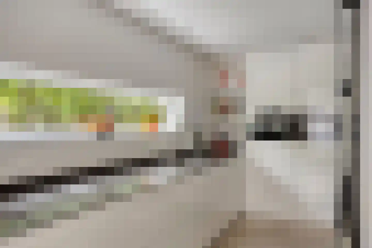 Berberisstraat 2 Nederweert thumbnail 22