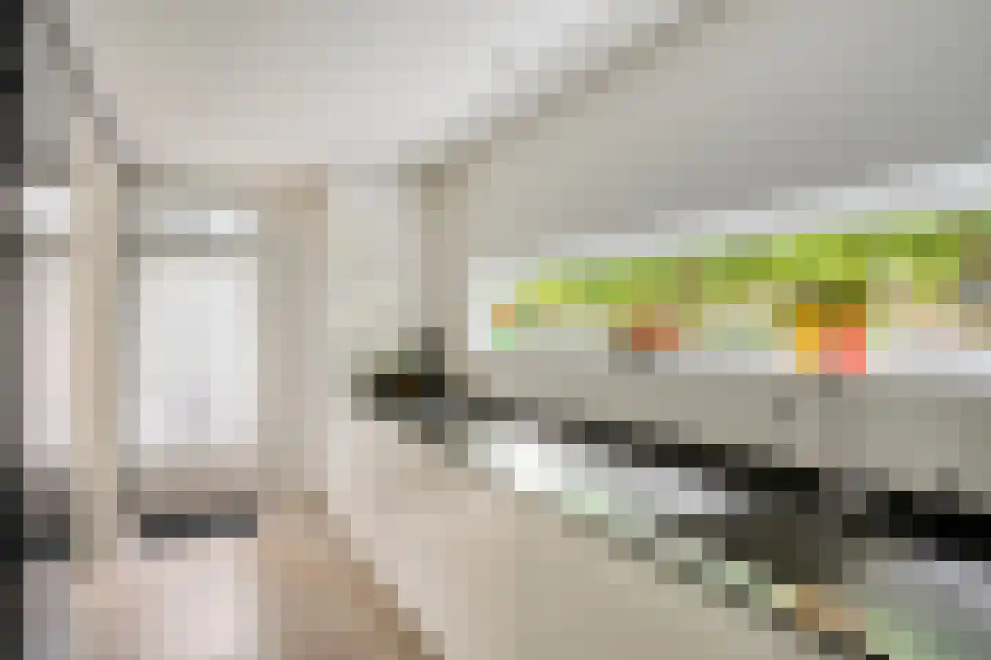 Berberisstraat 2 Nederweert thumbnail 24