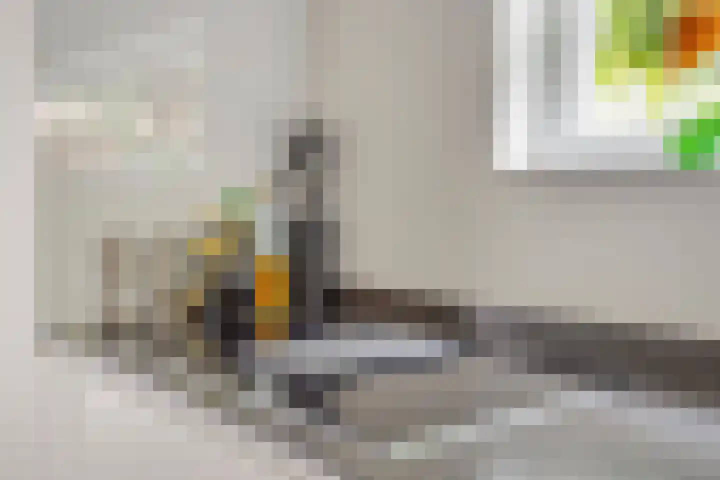 Berberisstraat 2 Nederweert thumbnail 25