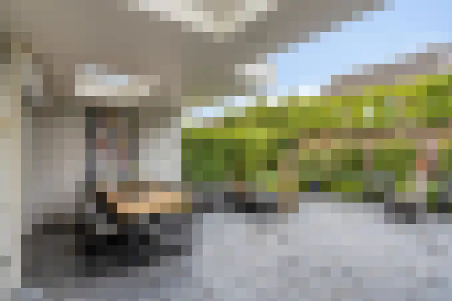 Berberisstraat 2 Nederweert thumbnail 47