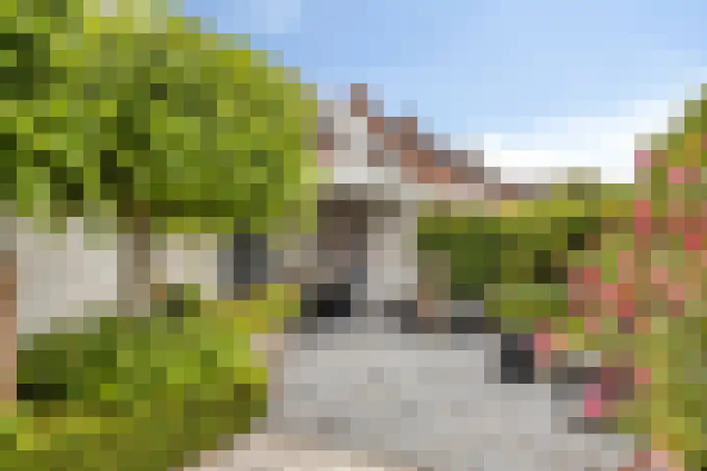 Berberisstraat 2 Nederweert thumbnail 49