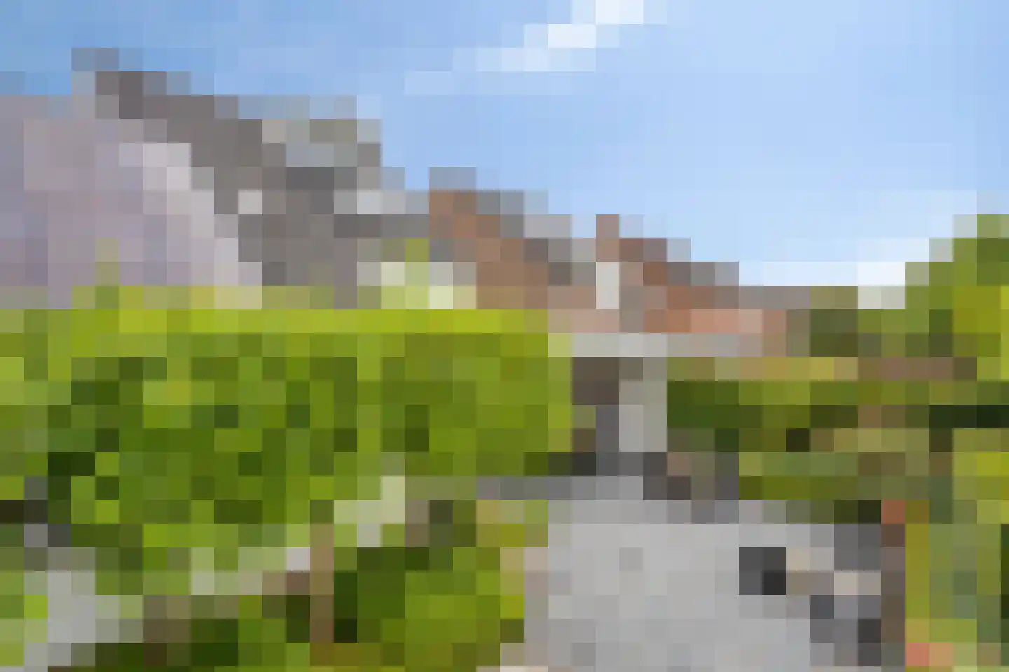 Berberisstraat 2 Nederweert thumbnail 50